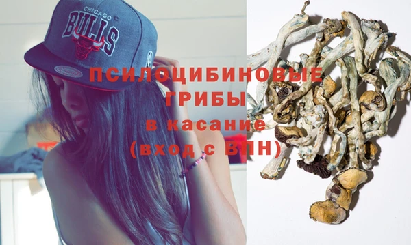 метадон Армянск