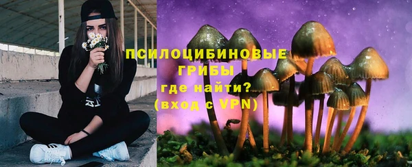 стаф Алексеевка