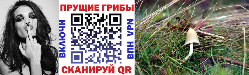Галлюциногенные грибы мухоморы  Купить  Сарапул 